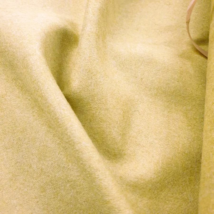 Tuchloden Meterware, senf